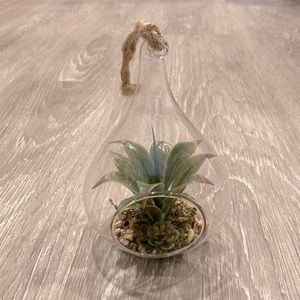Faux Succulent with Tear Drop Hanging Glass